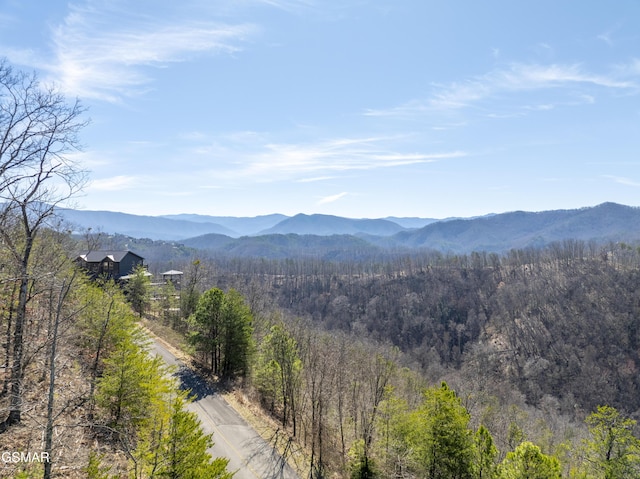 139 Settlers View Ln, Sevierville, TN 37862