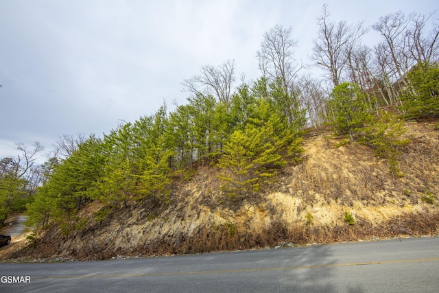 139 Settlers View Ln, Sevierville, TN 37862