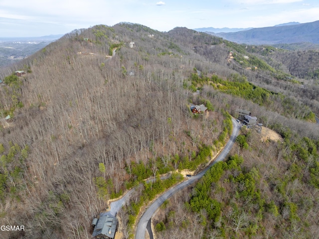 139 Settlers View Ln, Sevierville, TN 37862