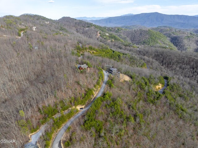 139 Settlers View Ln, Sevierville, TN 37862 - photo 66