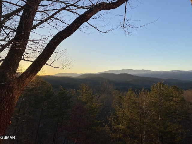 view of mountain feature featuring a view of trees