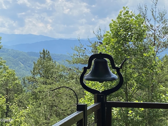 details with a mountain view