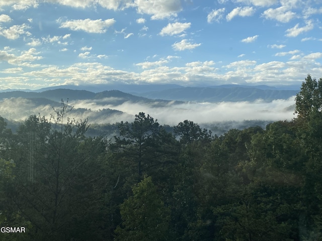 mountain view with a forest view