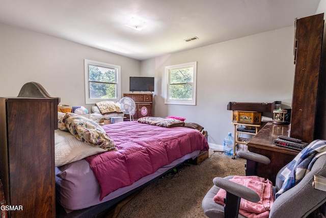 6119 Ridgeview Rd, Knoxville, TN 37918 - carpeted bedroom featuring multiple windows and baseboards