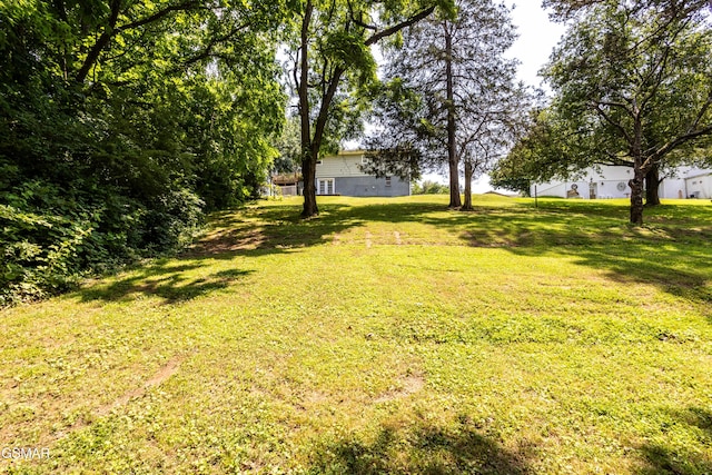 6119 Ridgeview Rd, Knoxville, TN 37918 - view of grassy yard