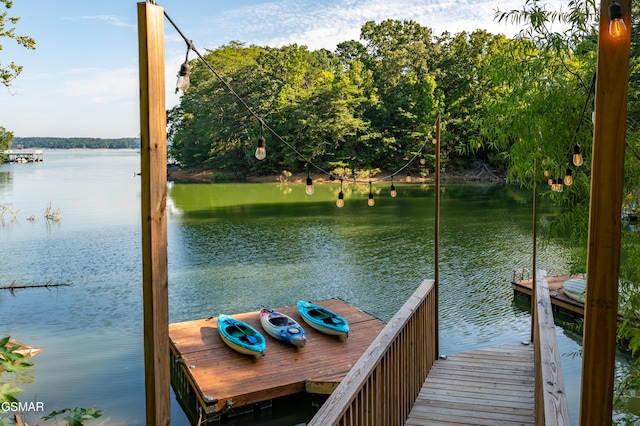 dock area with a water view