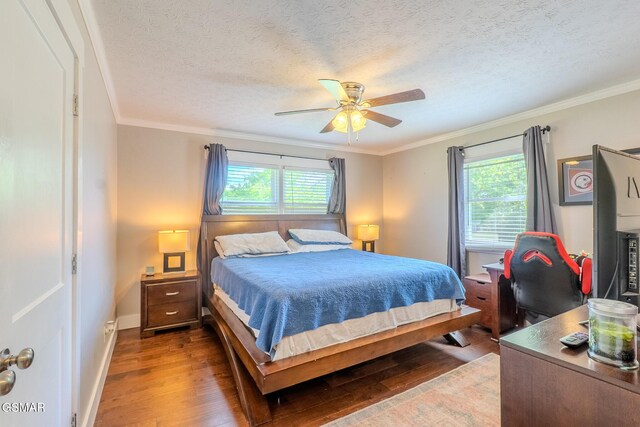 850 Fairground St, Cookeville, TN 38501 - bedroom featuring ornamental molding, wood finished floors, multiple windows, and a textured ceiling