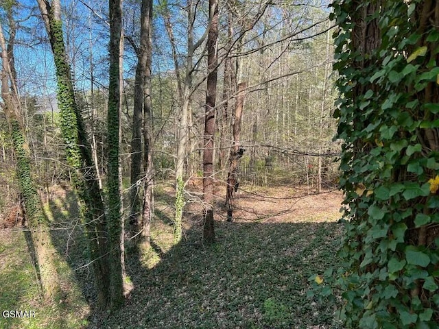 view of nature featuring a view of trees