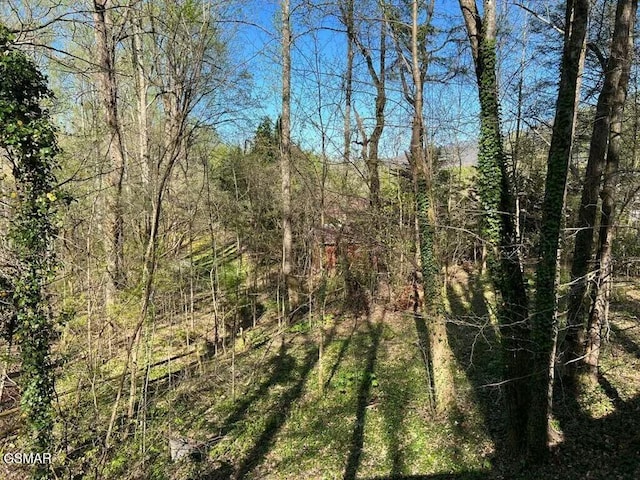 view of local wilderness featuring a forest view