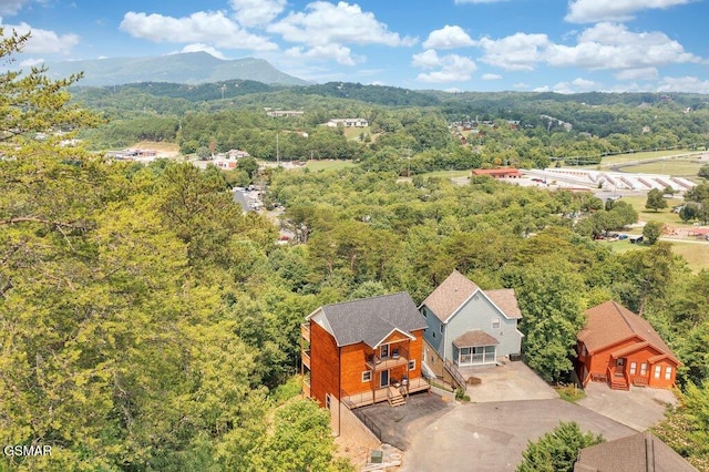421 Stone Ridge Way, Pigeon Forge, TN 37863 - photo 54