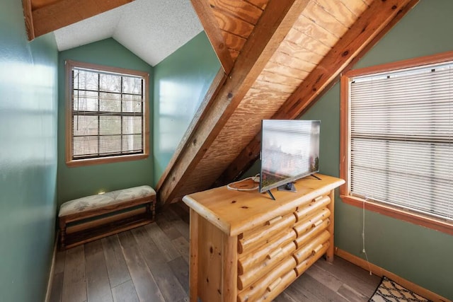 interior space with lofted ceiling and dark hardwood / wood-style floors