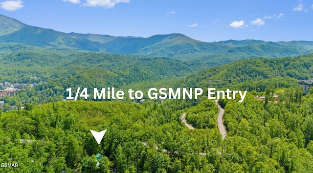 915 Statham Way, Gatlinburg, TN 37738 - gate with fence and a deck