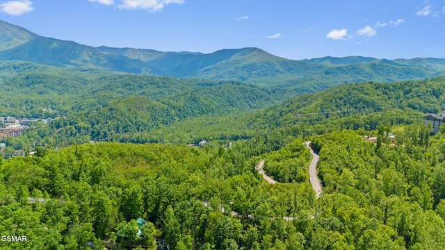 915 Statham Way, Gatlinburg, TN 37738 - mountain view with a forest