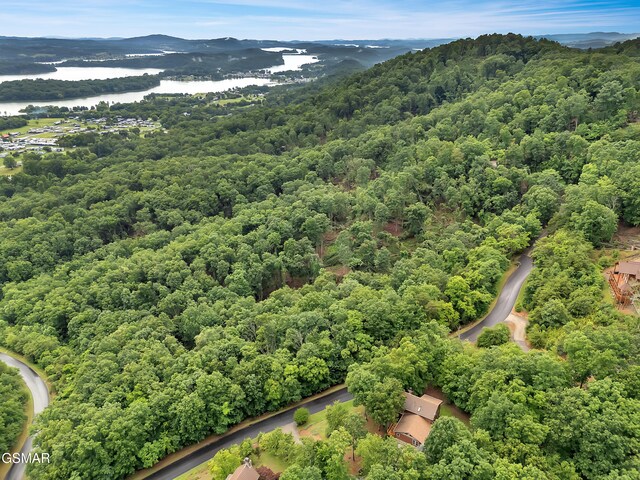 9097 Paradise View Dr, Mooresburg, TN 37811 - photo 5