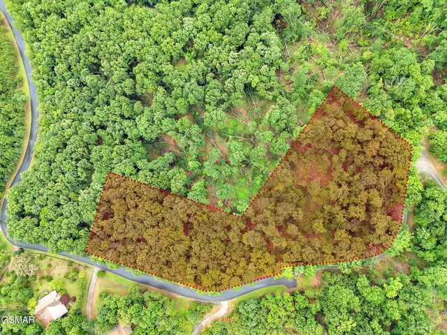 9097 Paradise View Dr, Mooresburg, TN 37811 - photo 11
