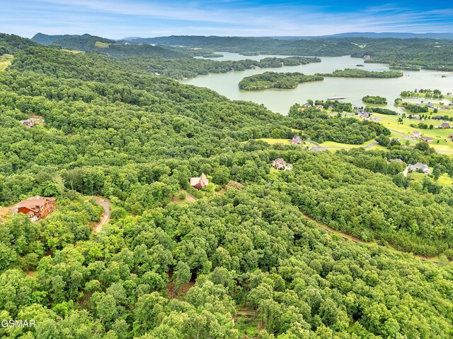 9097 Paradise View Dr, Mooresburg, TN 37811 - photo 9