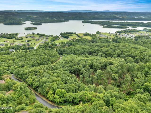 9097 Paradise View Dr, Mooresburg, TN 37811 - photo 7