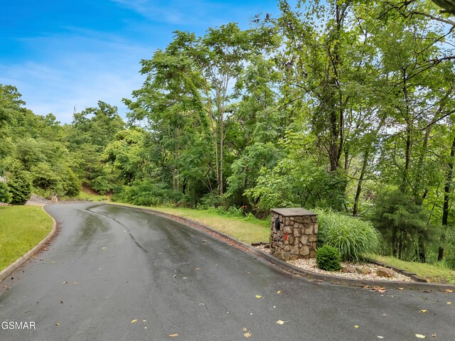 9097 Paradise View Dr, Mooresburg, TN 37811 - photo 3