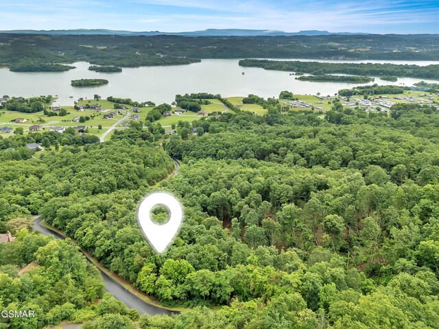 9097 Paradise View Dr, Mooresburg, TN 37811 - photo 14