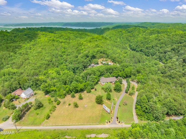 1668 Deerwood Rd, Newport, TN 37821 - drone / aerial view of a heavily wooded area