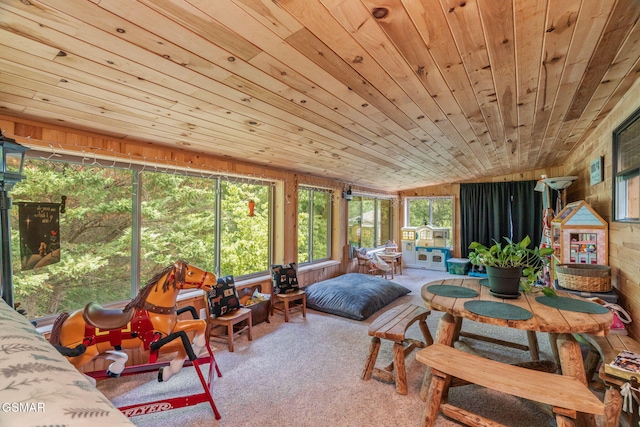 1668 Deerwood Rd, Newport, TN 37821 - sunroom featuring wood ceiling, carpet flooring, and wood walls