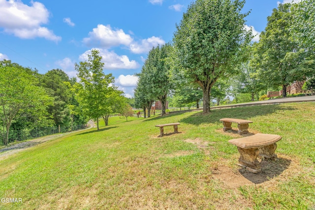 1668 Deerwood Rd, Newport, TN 37821 - view of yard