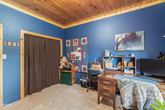 1668 Deerwood Rd, Newport, TN 37821 - home office with a textured wall, wood ceiling, and carpet