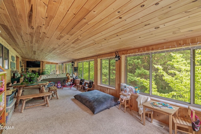 1668 Deerwood Rd, Newport, TN 37821 - sunroom featuring wooden ceiling and carpet flooring