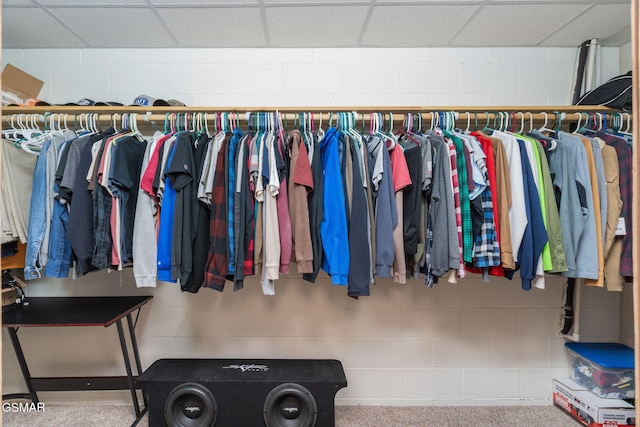 1668 Deerwood Rd, Newport, TN 37821 - spacious closet with a paneled ceiling