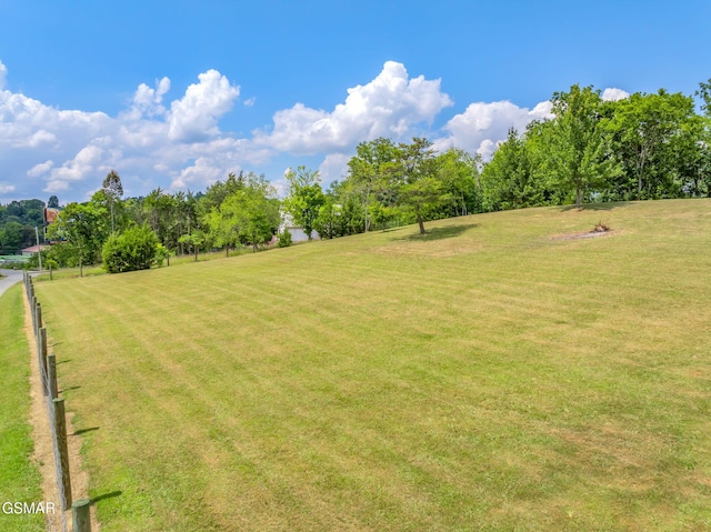 1668 Deerwood Rd, Newport, TN 37821 - view of green lawn with view of scattered trees