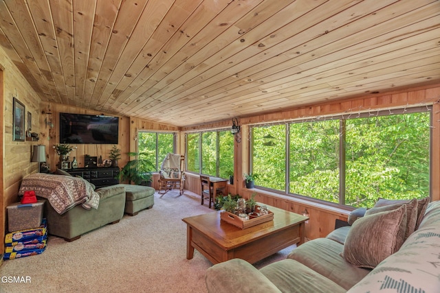 1668 Deerwood Rd, Newport, TN 37821 - living room with wood ceiling, carpet, wooden walls, and vaulted ceiling