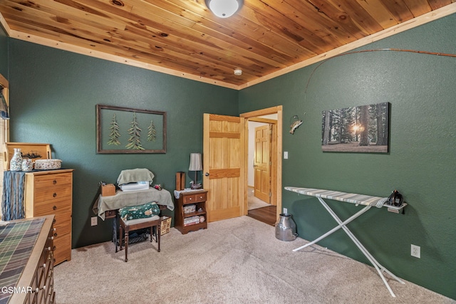 1668 Deerwood Rd, Newport, TN 37821 - bedroom featuring wooden ceiling, a textured wall, and carpet floors