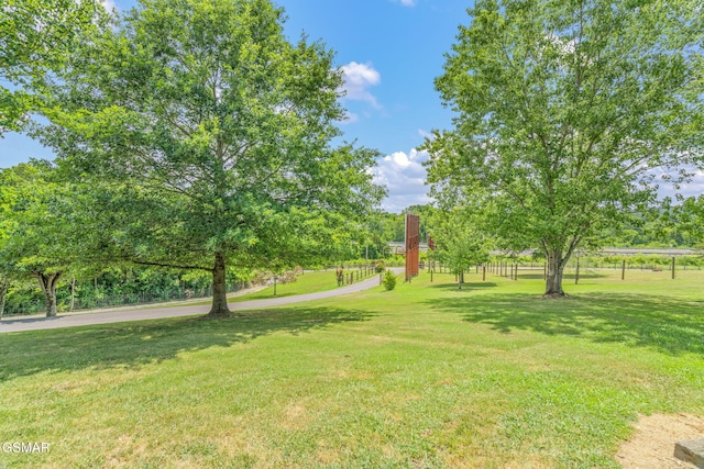1668 Deerwood Rd, Newport, TN 37821 - view of grassy yard