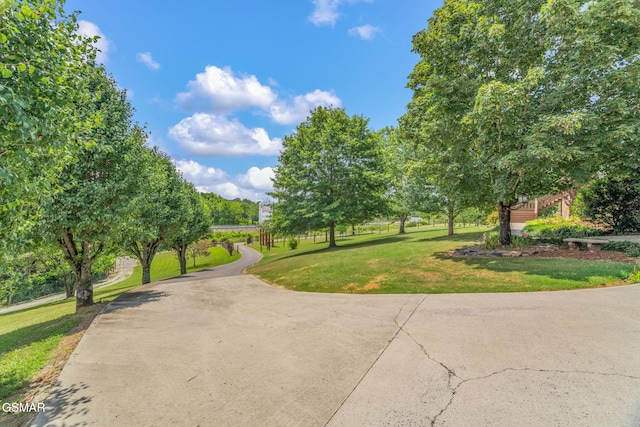 1668 Deerwood Rd, Newport, TN 37821 - surrounding community featuring a lawn
