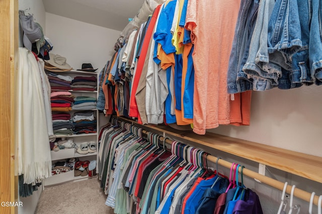 1668 Deerwood Rd, Newport, TN 37821 - walk in closet with carpet