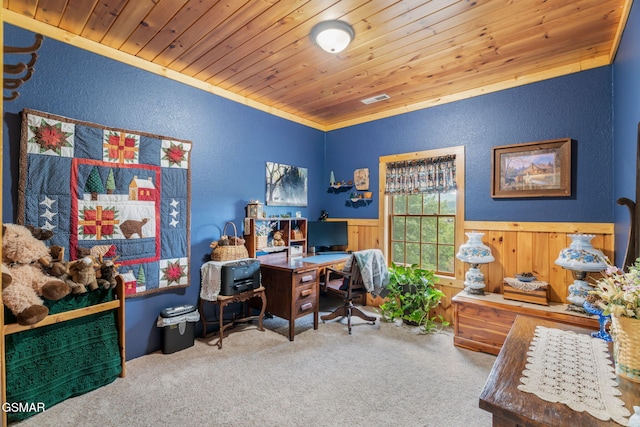 1668 Deerwood Rd, Newport, TN 37821 - office space featuring a textured wall, carpet floors, wood ceiling, wainscoting, and wooden walls