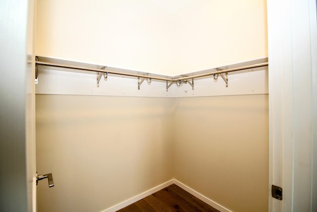 spacious closet with dark wood finished floors