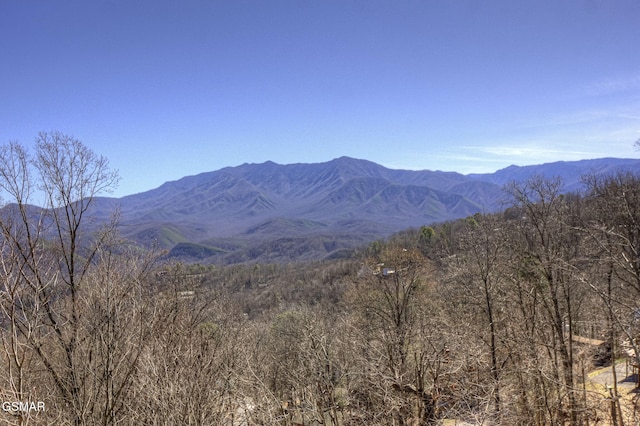 mountain view