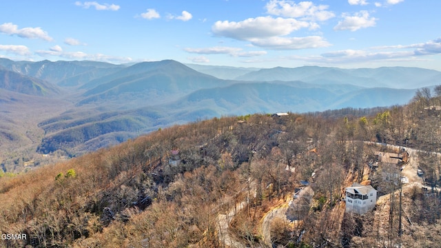 property view of mountains