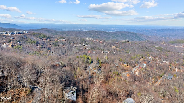 birds eye view of property featuring a mountain view