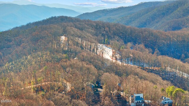 view of mountain feature