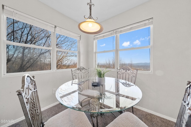 carpeted dining room with a wealth of natural light