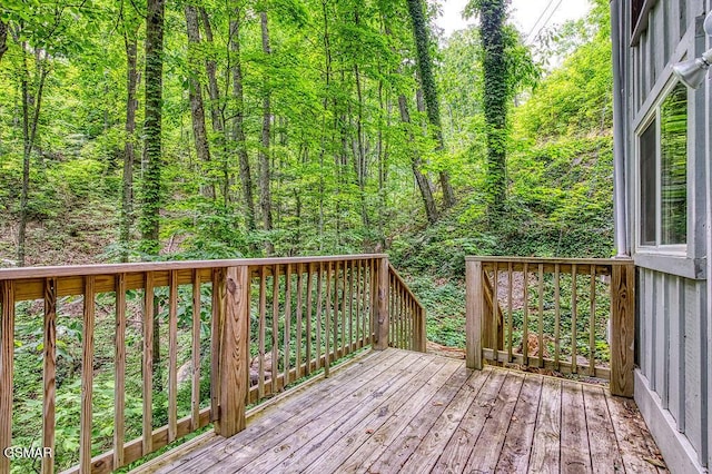 970 Scenic Trl, Gatlinburg, TN 37738 - photo 21