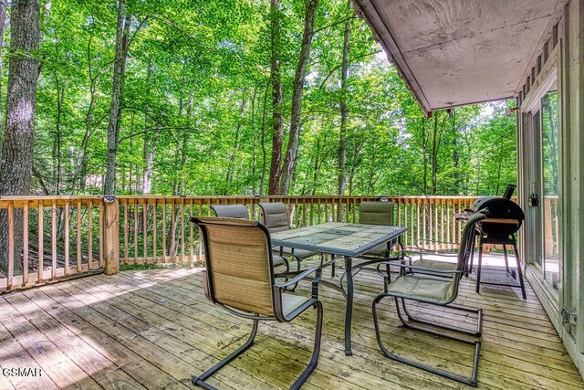 970 Scenic Trl, Gatlinburg, TN 37738 - photo 3
