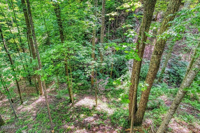 970 Scenic Trl, Gatlinburg, TN 37738 - photo 7