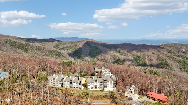 1130 Ski View Dr Unit 112, Gatlinburg, TN 37738 - photo 53