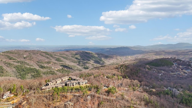 1130 Ski View Dr Unit 112, Gatlinburg, TN 37738 - photo 51