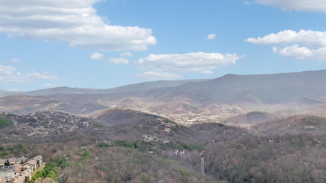 1130 Ski View Dr Unit 112, Gatlinburg, TN 37738 - photo 49