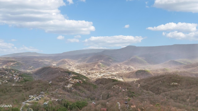 1130 Ski View Dr Unit 112, Gatlinburg, TN 37738 - photo 52