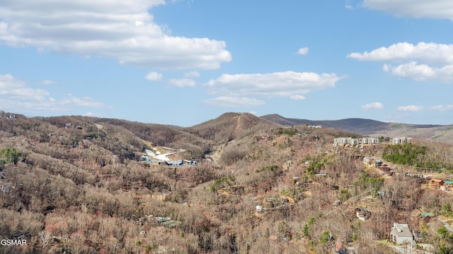 1130 Ski View Dr Unit 112, Gatlinburg, TN 37738 - photo 50